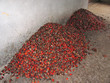 some african typical small fruits on a warehouse, cameroon, afri