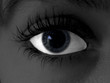 beautiful eye 2 beautiful eye 2