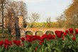 bridge in springtime