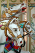chevaux de manÃ¨ge