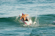 paddleboard