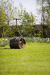 lawn roller