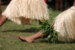danse polynésienne