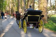 eco transport