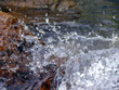 faszinierende wasserwelt