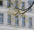 hausansicht hausansicht