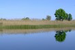 wasserspiegelung in linum wasserspiegelung in linum
