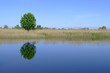 wasserspiegelung in linum wasserspiegelung in linum