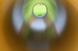 in the tube \ green