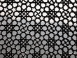 jaipur screen