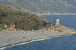 albo cap corse