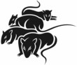 group of bad rats