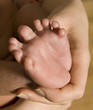petits pieds de bébé petits pieds de bébé