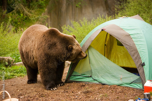 Foto: camping camping
