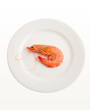 single prawn on plate single prawn on plate