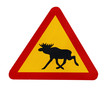 traffic sign warning for moose
