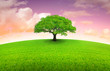 arbre sur prairie