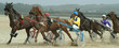 course de chevaux course de chevaux