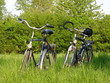 fahrrad