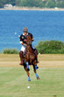 brioni polo classic 2006