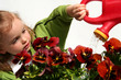 Photo: little gardener little gardener