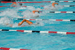 swim finals