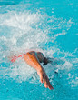 swim finals