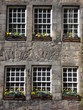 6 windows