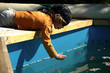 Photo: danger piscine danger piscine