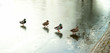 ein starkes team