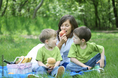 Photo: family picnic family picnic
