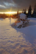 russia. south ural. mountain array iremel.