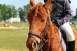 cheval