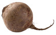 beet isolated