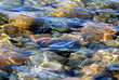 watter