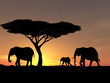 family of elephant