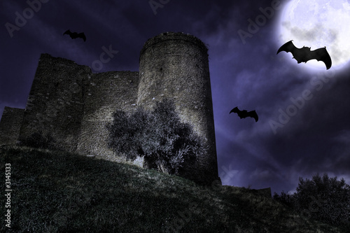 Photo: castello nella notte castello nella notte