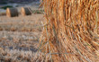 bale of hay