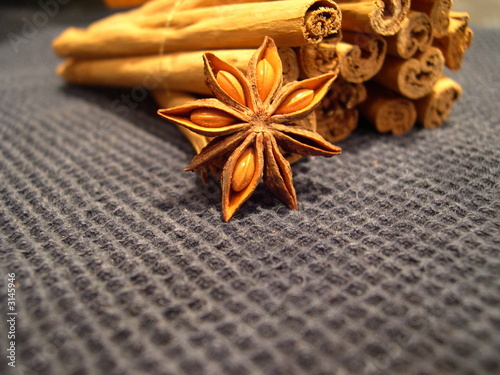 Photo: flor de la canela y rama flor de la canela y rama