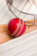 cricket gear cricket gear