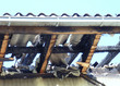 brand 2