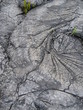 lave volcanique