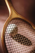 Photo: sports sports