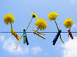 halt den sommer fest!