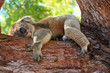 australien_07_ 0150 australien_07_ 0150
