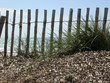 plage 01