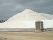 saline saline