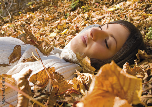 beautiful fall 3