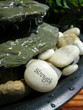 zen fountain