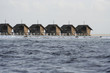 maledives